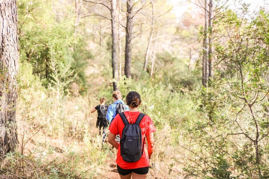 Explore Marbella's Nature: Guided Hiking And Foraging Trip - Who will enjoy this hike, and who should think twice
