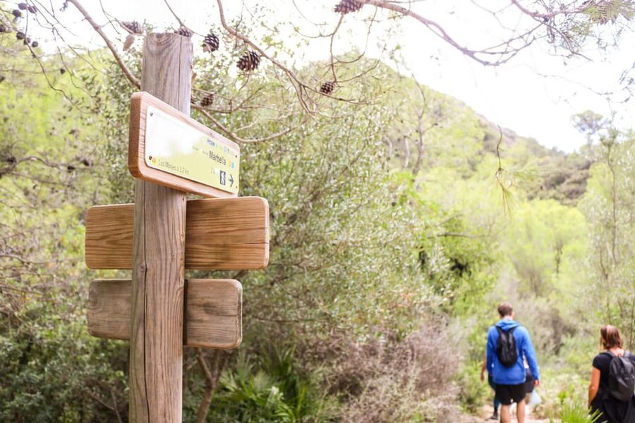 Explore Marbella's Nature: Guided Hiking And Foraging Trip - Should you book the Marbella nature hike?