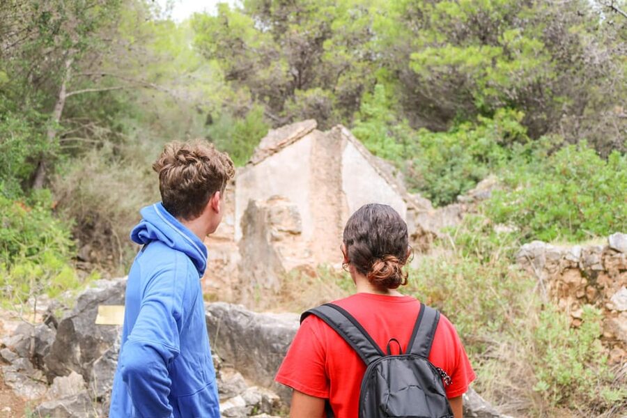Explore Marbella's Nature: Guided Hiking And Foraging Trip - FAQ