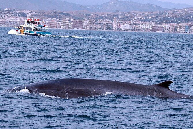 Ferry Benalmádena <> Fuengirola - Making the most of Fuengirola