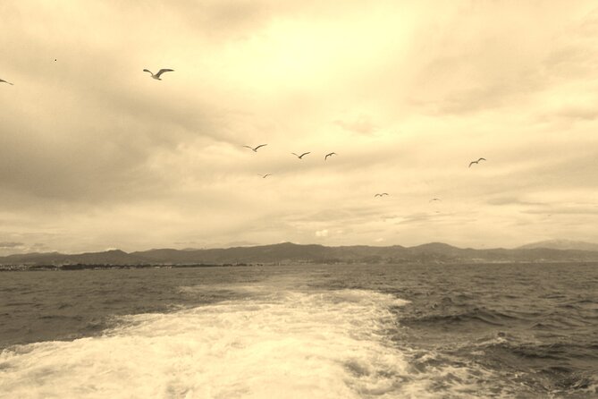 Ferry Benalmádena <> Fuengirola - Is the ferry good value at $16.87?