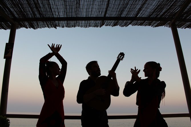 Flamenco evening and barbecue by the sea at the Blue Dolphin Beach Club - A close and lively flamenco performance