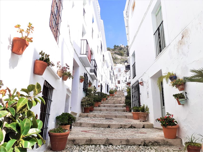 Frigiliana: Private walking tour - Key points before you book