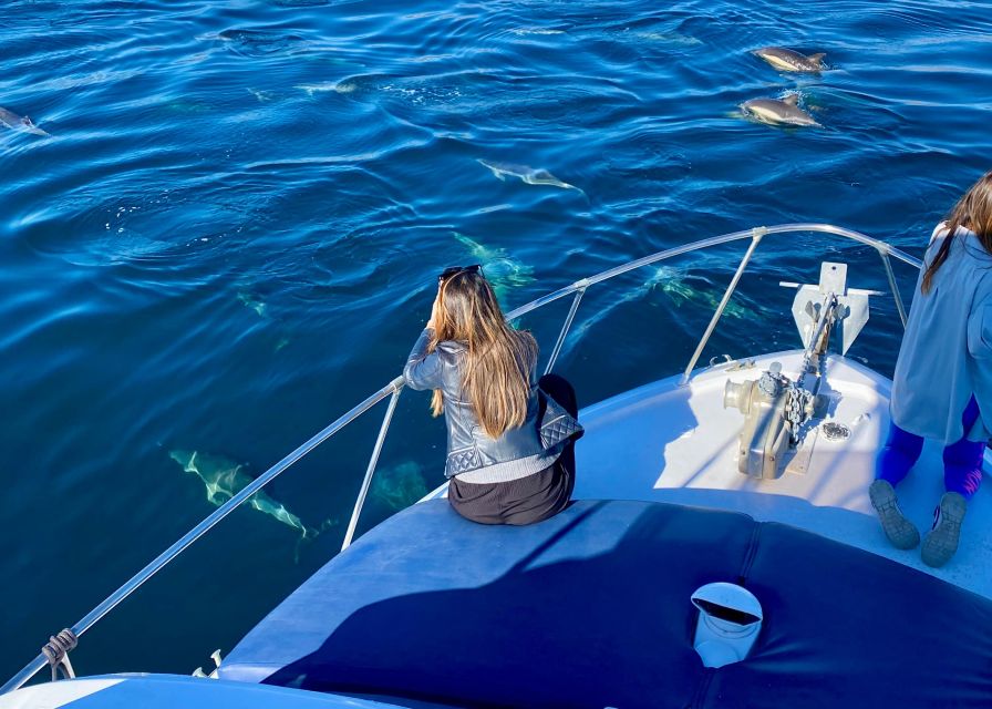 From Benalmádena & Torremolinos: Dolphin Watch Boat Trip - A coastal cruise with a wildlife purpose