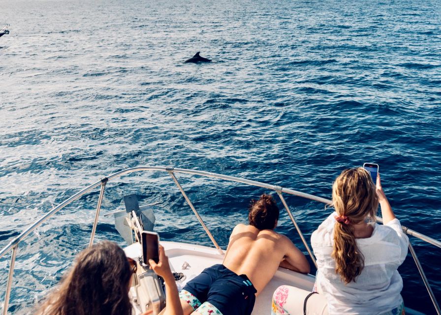 From Benalmádena & Torremolinos: Dolphin Watch Boat Trip - Who will enjoy this trip most?