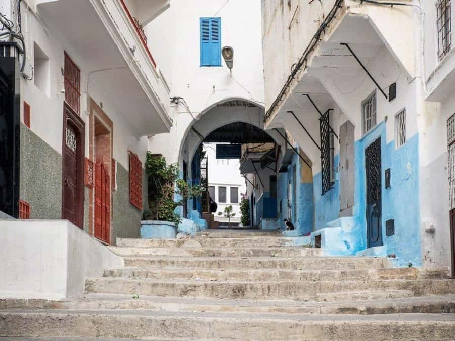 From Costa del Sol: Discover Tangier on a Guided Day Trip - Moroccan lunch, with drinks extra