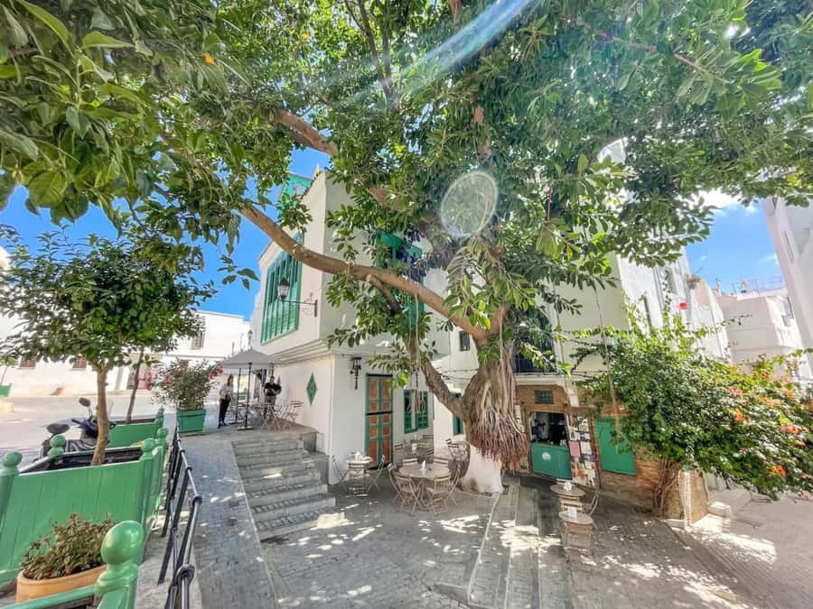 From Costa del Sol: Discover Tangier on a Guided Day Trip - Bazaar, Berber pharmacy or free time