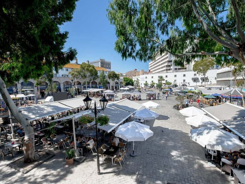 From Costa del Sol: Gibraltar Day Trip with Free Time - Who will enjoy this day trip most?