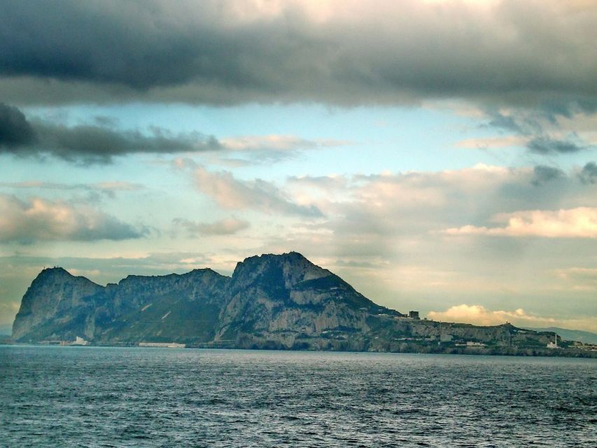 From Costa del Sol: Gibraltar Dolphin Watching by Boat - At a glance