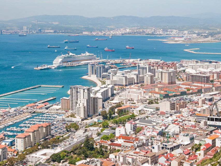 From Costa del Sol: Gibraltar Dolphin Watching by Boat - A full day from the Costa del Sol