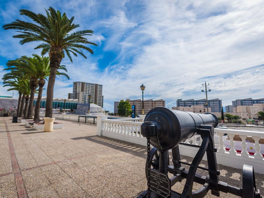 From Costa del Sol: Gibraltar Dolphin Watching by Boat - Gibraltar before or after the boat