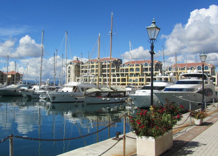From Costa del Sol: Gibraltar Dolphin Watching by Boat - Who should book this Gibraltar day trip?