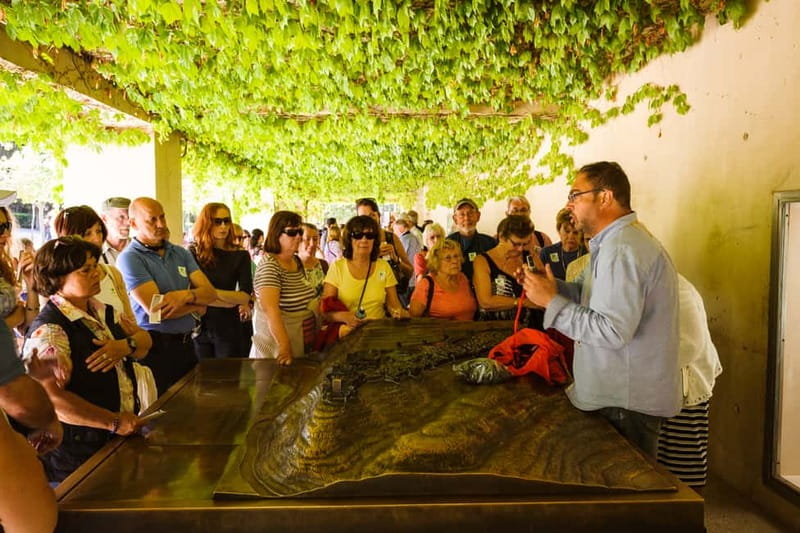 From Costa del Sol: Granada Full-Day Tour - Choose how much guidance you want