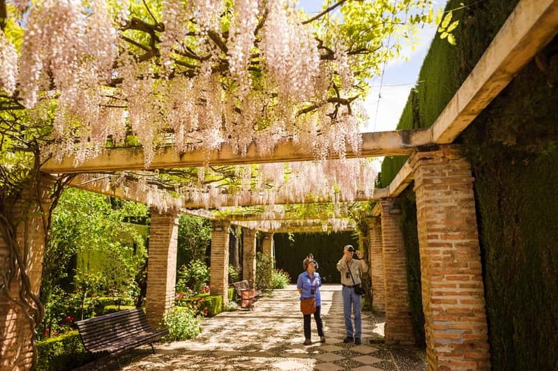 From Costa del Sol: Granada Full-Day Tour - The Alhambra rewards a guided visit