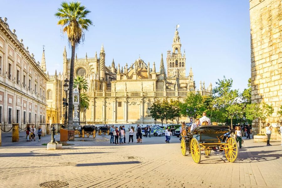 From Costa del Sol: Guided Tour of Seville - Start with Santa Cruz’s lanes and small plazas
