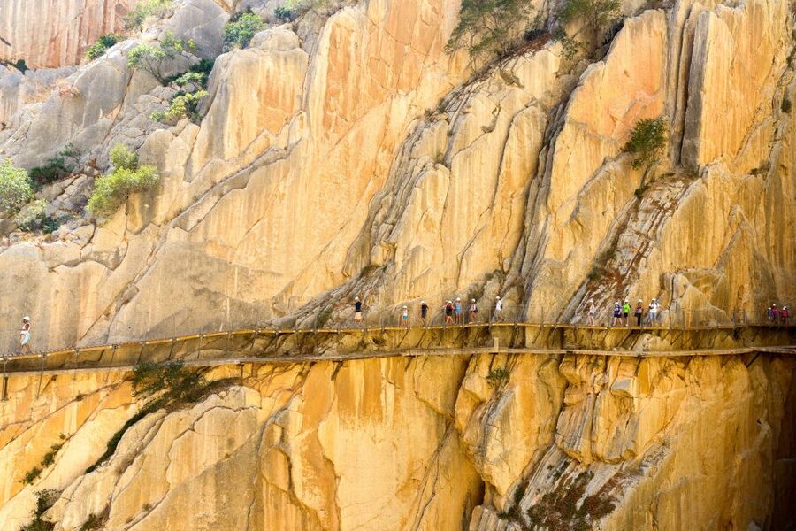 From Costa del Sol & Malaga: Caminito del Rey Guided Tour - Is $82 a fair price for the day?
