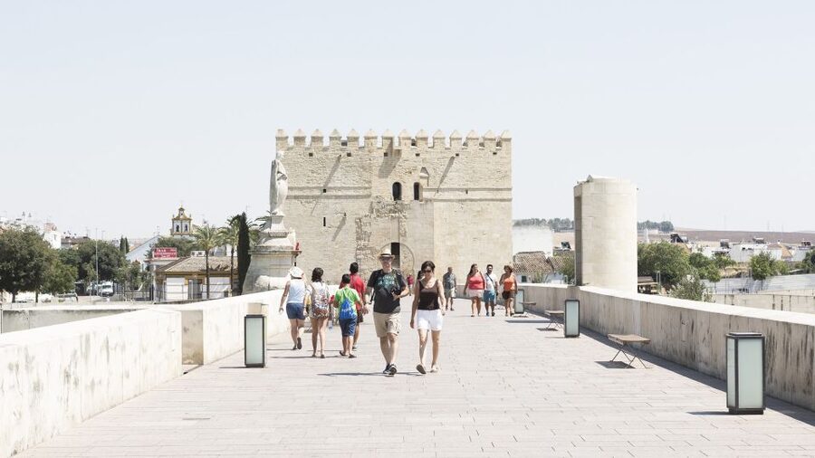 From Costa del Sol & Malaga: Cordoba Guided Day Tour - A walk through the Jewish Quarter