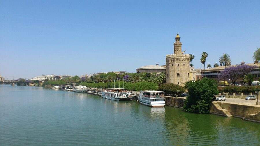 From Costa del Sol & Malaga: Seville Day Trip - Free time for lunch and your own discoveries