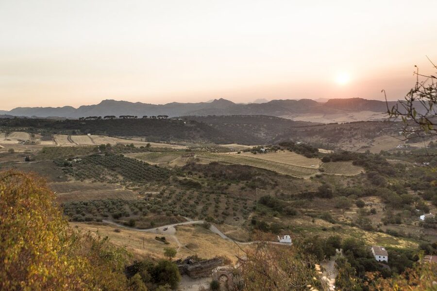 From Costa del Sol: Ronda Village Tour w/ Maestranza Ticket - The road inland is part of the day