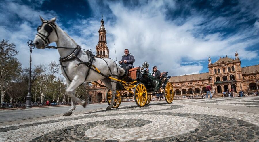 From Costa del Sol: Seville and Royal Alcázar Palace - Seville Cathedral and the Giralda