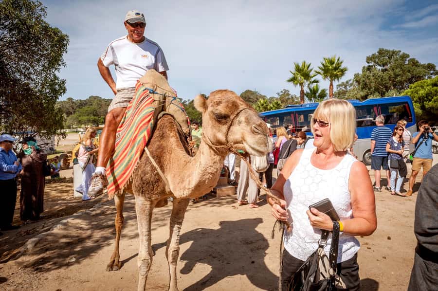 From Costa del Sol: Tangier Full-Day Tour by Ferry - Lunch, music, and local crafts