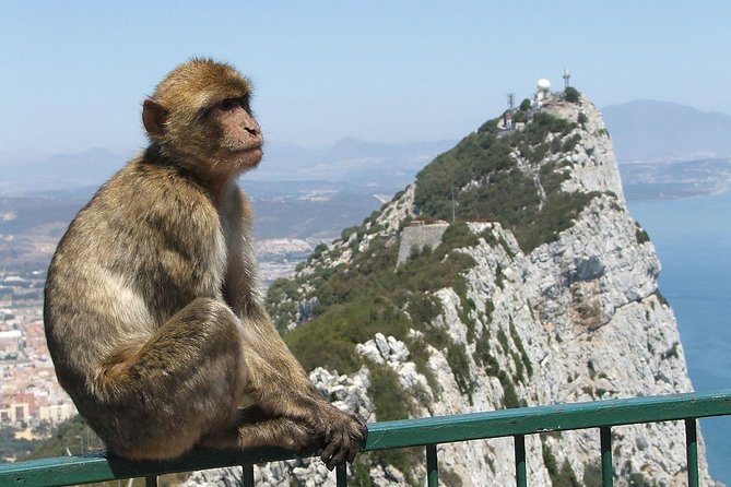 From Costa del Sol: The Gibraltar classic Rock tour - A long ride to a remarkable little territory