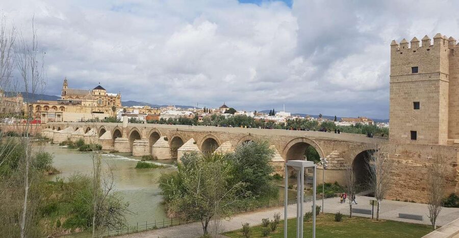 From Malaga and Costa Del Sol: Cordoba Day Trip - The coach ride sets up the day