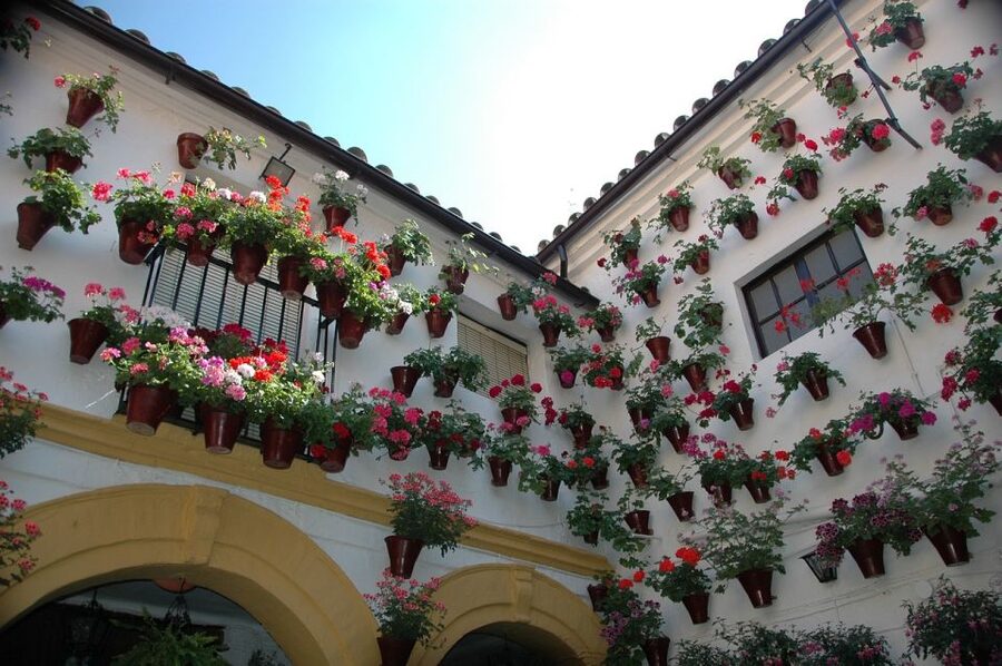 From Malaga and Costa Del Sol: Cordoba Day Trip - Patios and a taste of Córdoba