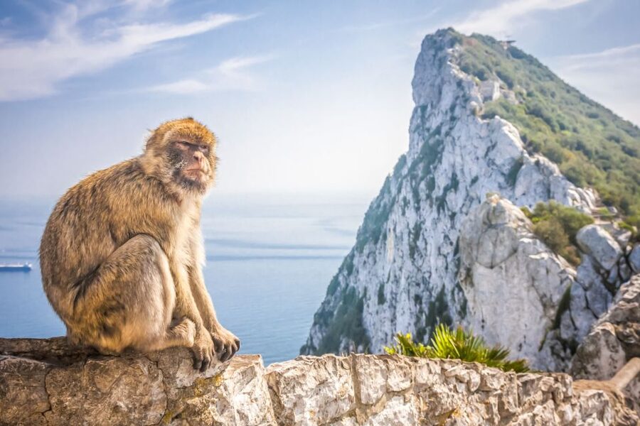 From Malaga and Costa del Sol: Gibraltar Shopping Tour - FAQ