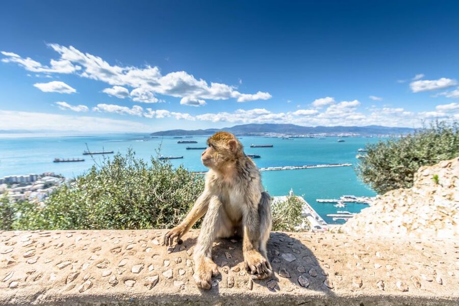 From Malaga and Costa del Sol: Gibraltar Sightseeing Tour - Europa Point and the view toward Africa