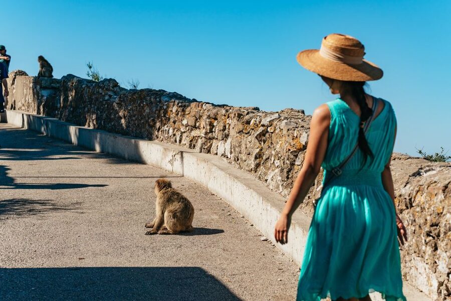 From Malaga and Costa del Sol: Gibraltar Tour - The essentials at a glance