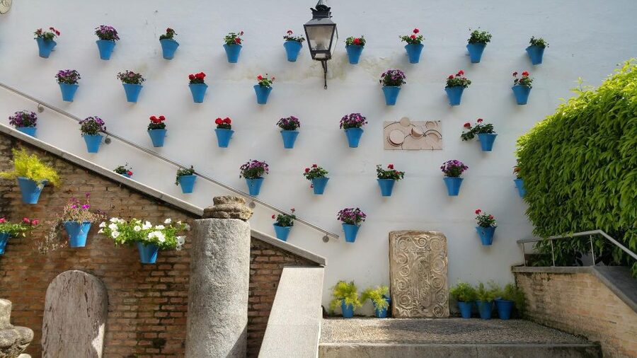 From Malaga: Cordoba Day Trip and Mosque-Cathedral - Inside the Mosque-Cathedral