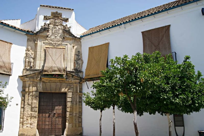 From Málaga: Córdoba Mosque Guided Tour - Making sense of Córdoba beyond the monument