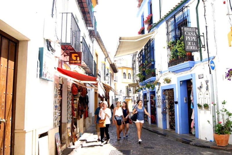 From Málaga: Córdoba Mosque Guided Tour - Should you book this Córdoba day trip?