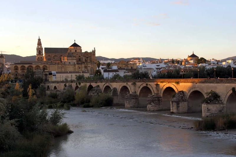 From Málaga: Córdoba Mosque Guided Tour - The Málaga-to-Córdoba ride