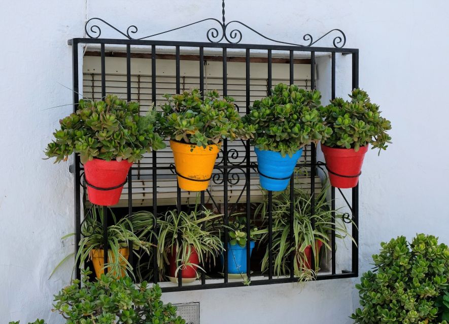 From Málaga /Costa del Sol: Trip to Nerja & Frigiliana - Getting to Nerja with a guide