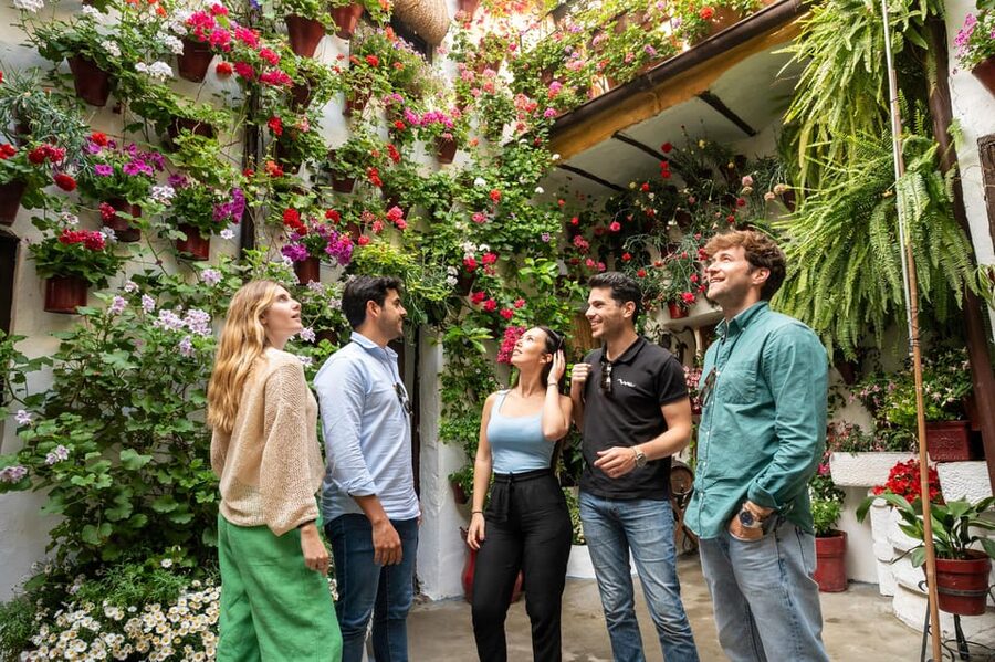 From Málaga: Day trip to Córdoba - Premium Small Group Tour - Córdoba on Foot, With a Guide