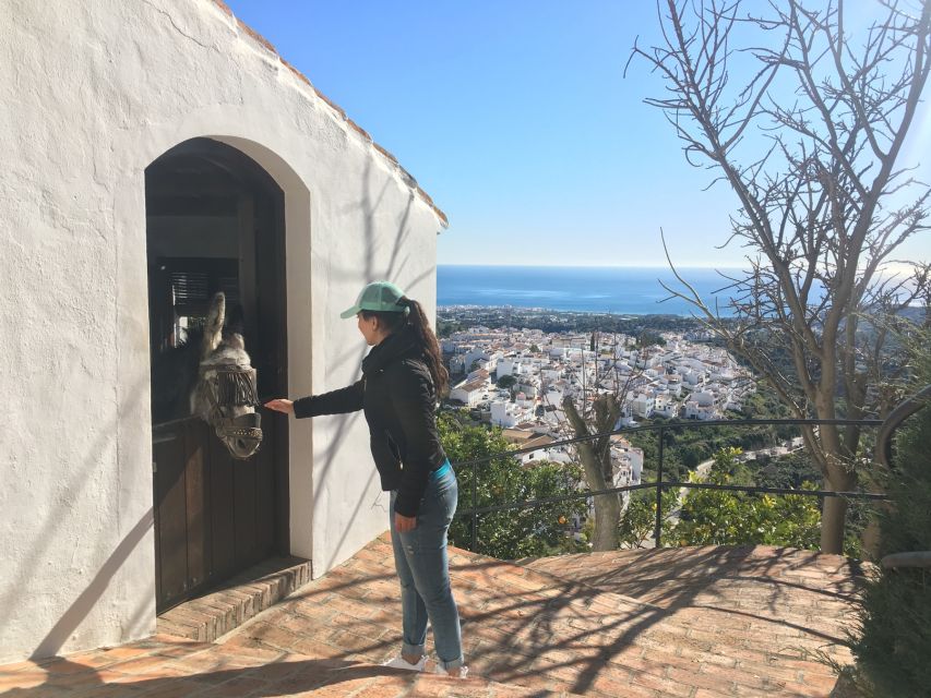 From Málaga: Frigiliana Hiking Tour with Wine & Appetizers - Across Frigiliana’s lanes and avocado groves