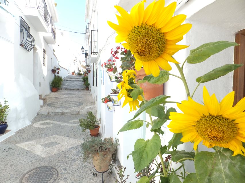 From Málaga: Frigiliana Hiking Tour with Wine & Appetizers - Frigiliana after the trail