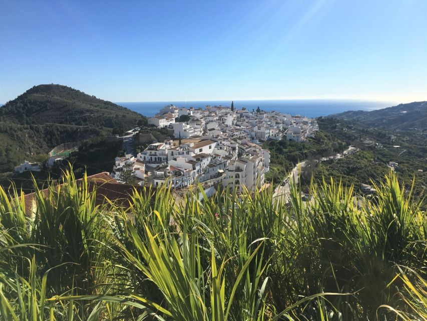 From Málaga: Frigiliana Hiking Tour with Wine & Appetizers - Sweet wine and a small plate of tapas
