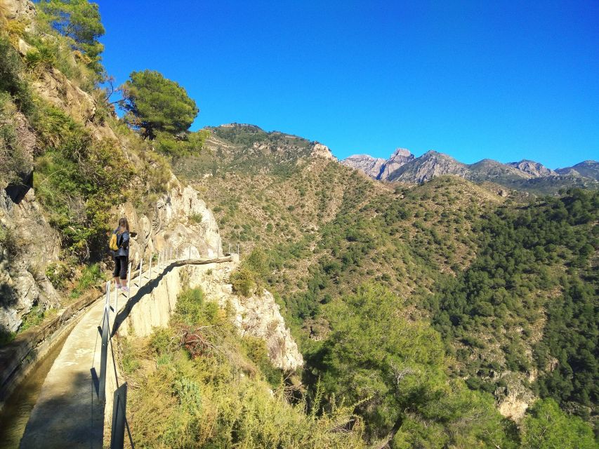 From Málaga: Frigiliana Hiking Tour with Wine & Appetizers - Who should book this Frigiliana hike?