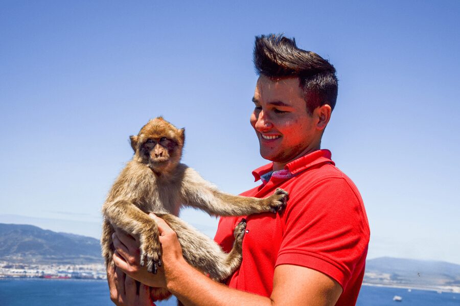 From Malaga: Full-Day Trip to Gibraltar - From Malaga’s city hall to Gibraltar