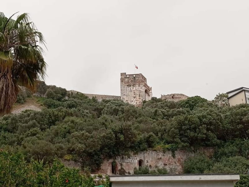 From Málaga: Gibraltar Day Trip - What the $36 fare does, and does not, cover
