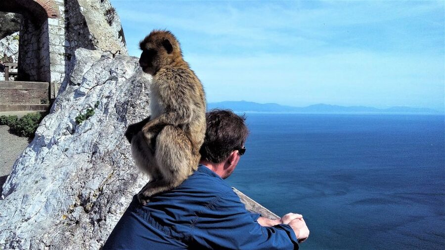 From Málaga or Marbella: Private Gibraltar Tour - Crossing into Gibraltar, with the Rock in view