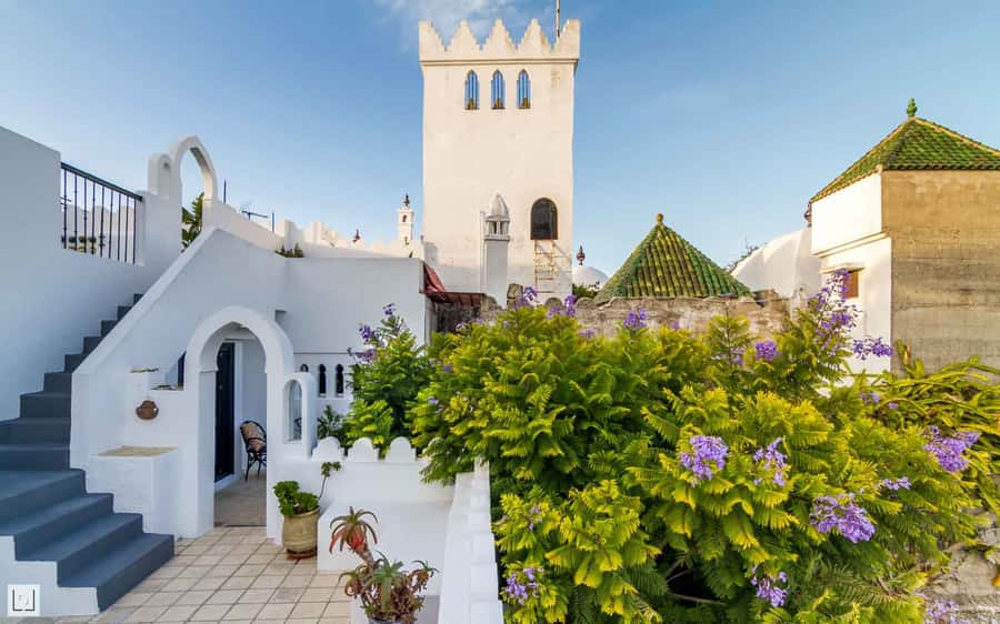 From Malaga or Tarifa: Private Tangier Day Tour - Should you book this Tangier day trip?