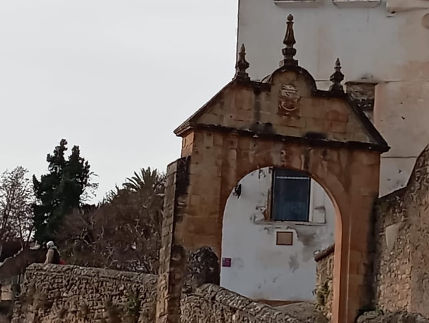 From Malaga: private tour Ronda and Setenil de las Bodegas - Who should book this Ronda and Setenil day trip?
