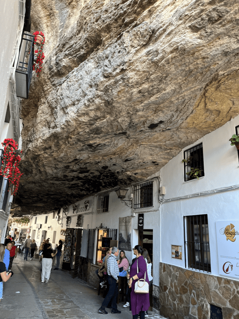 From Malaga: Ronda and Setenil de las Bodegas Day Trip - Is $29 good value?