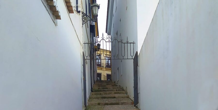 From Malaga: Ronda and Setenil Tour with Scenic Train - Who will enjoy this trip most?