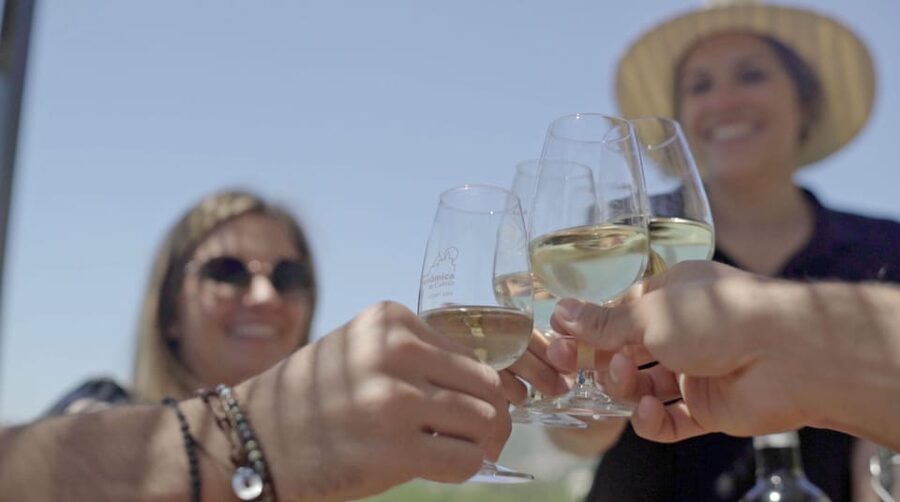 From Málaga: Ronda, Wine & Olive Oil Tasting Small Group - Ronda First, Then The Countryside