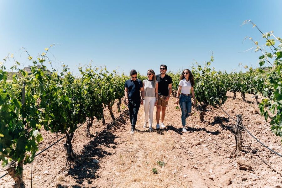 From Málaga: Ronda, Wine & Olive Oil Tasting Small Group - Ronda’s Bridge And Gorge